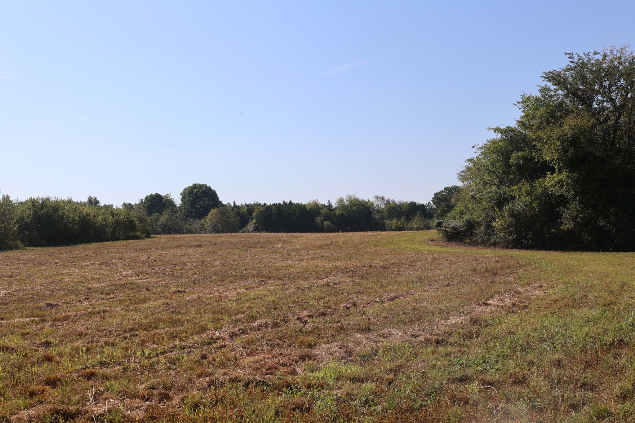 3333 Midland Fosterville Road Bell Buckle, TN 37020 - Photo 9 of 11 Gallery Image 9
