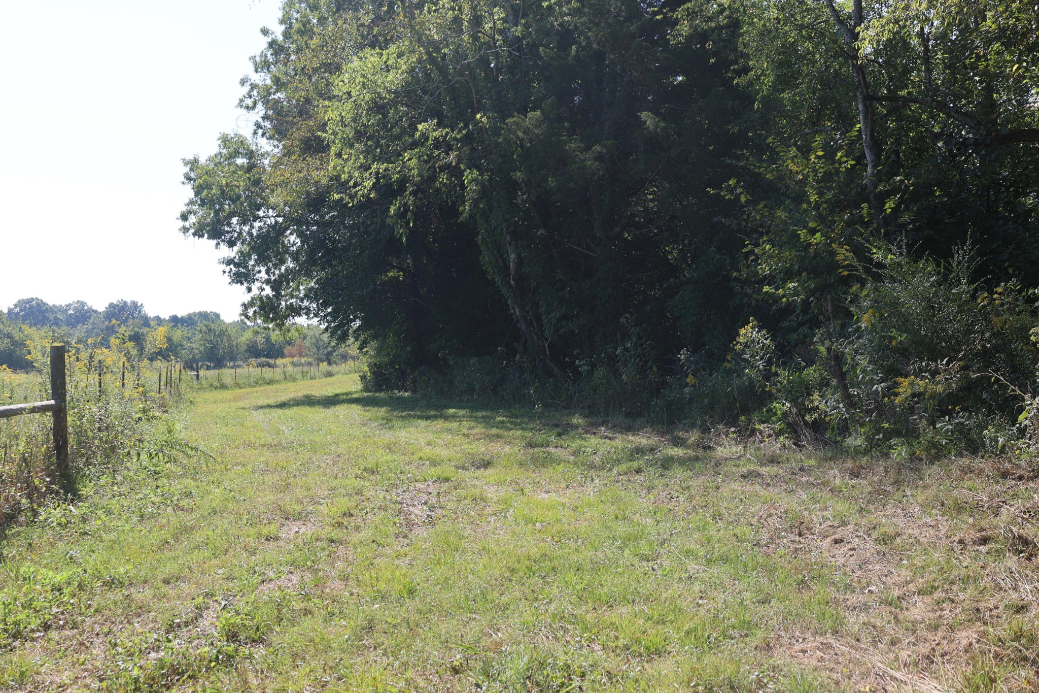 3333 Midland Fosterville Road Bell Buckle, TN 37020 - Photo 10 of 11 Gallery Image 10