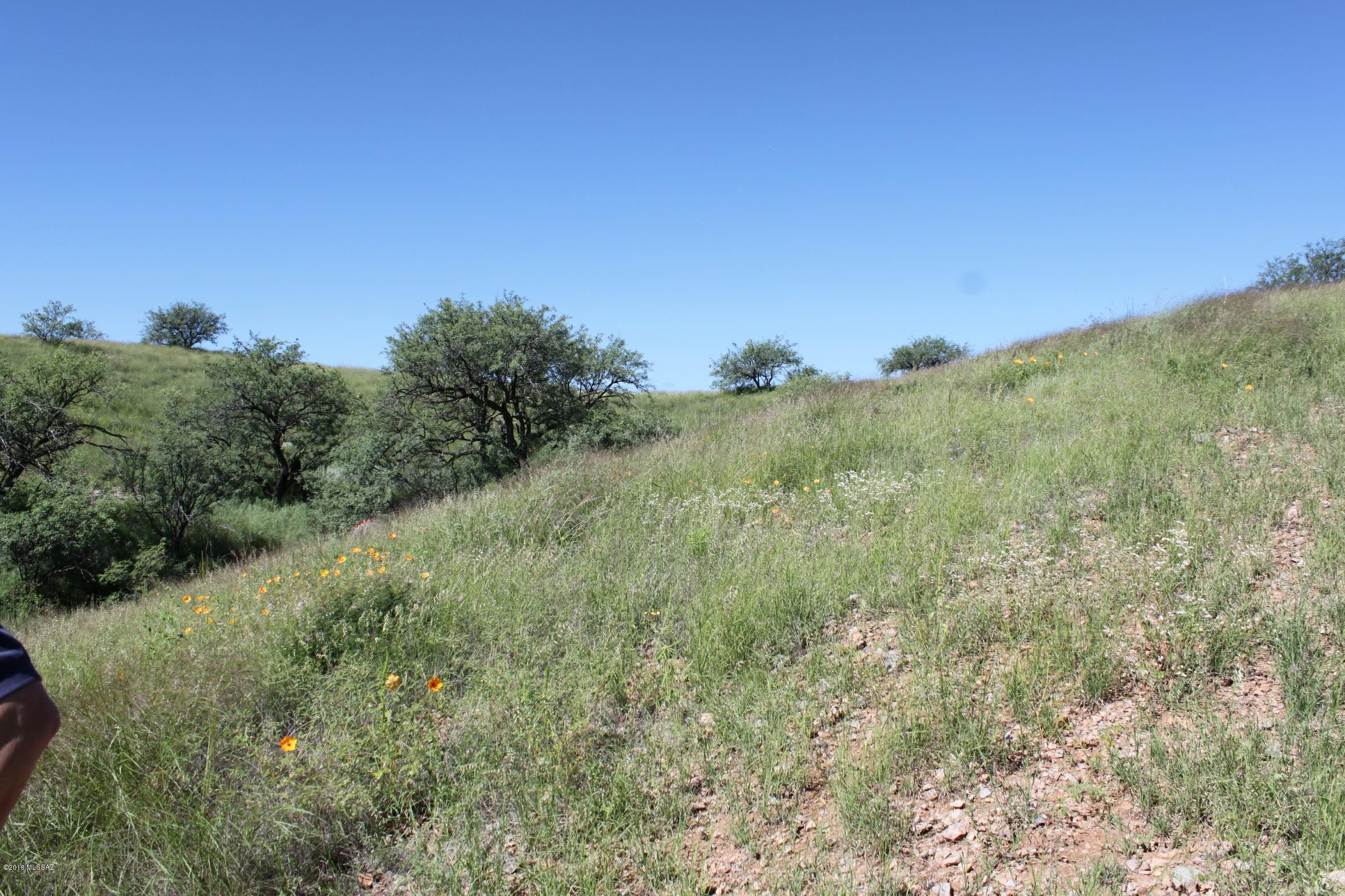 38101 South Wedgeford Road Arivaca, AZ 85601 - Photo 6 of 20