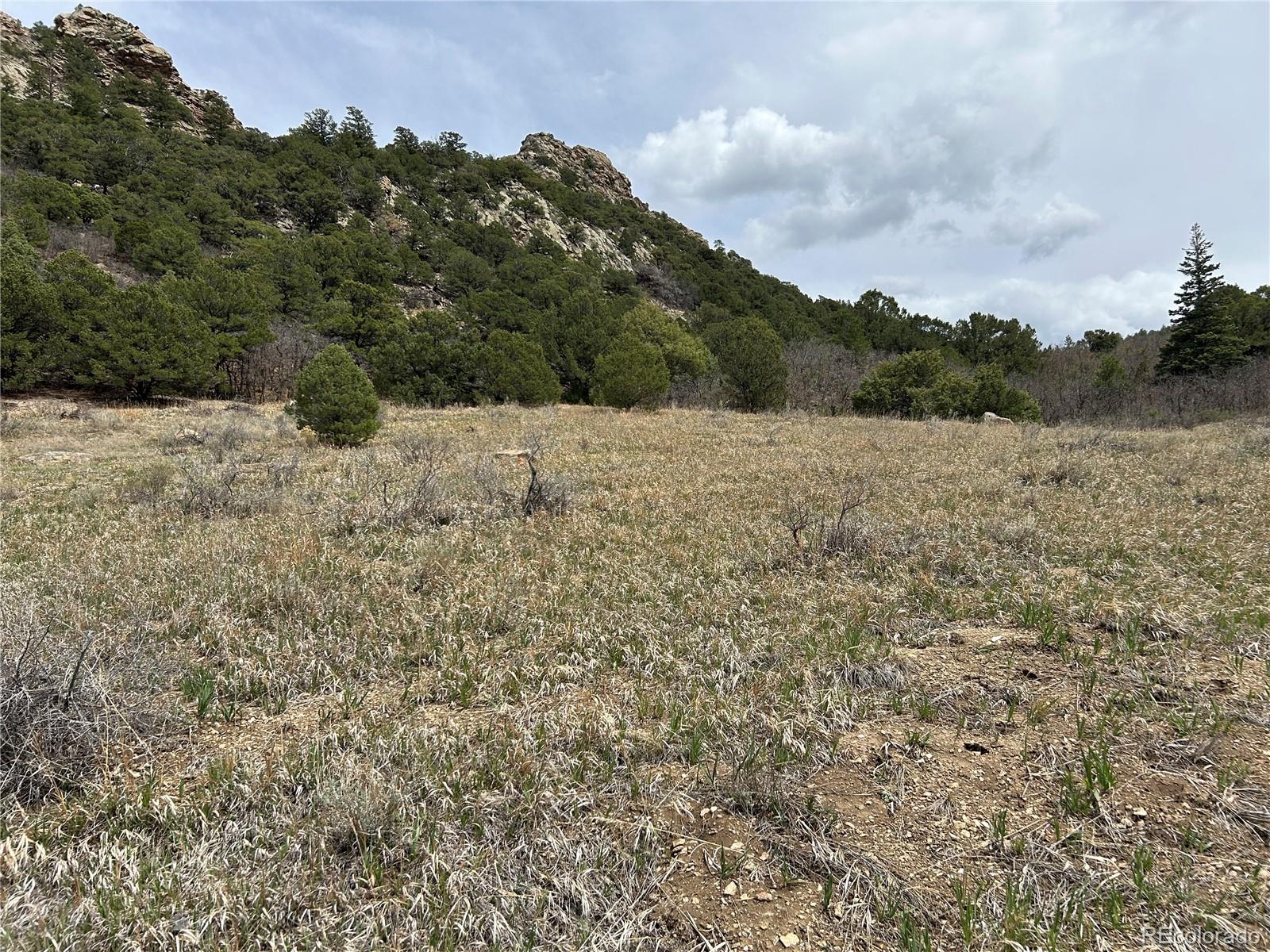0 Pass Creek Road Gardner, CO 81040 - Photo 10 of 28