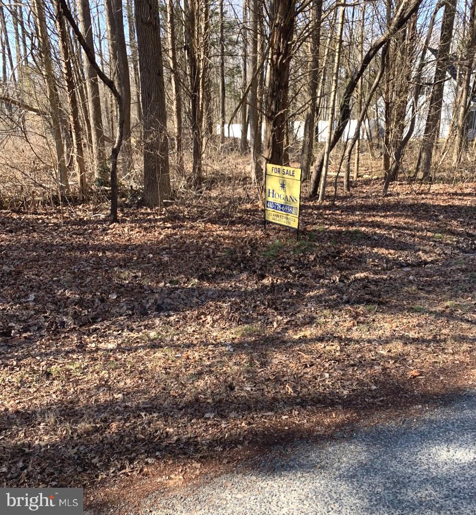 733 Klamath Road Chestertown, MD 21620 - Photo 1 of 2 Gallery Image 1