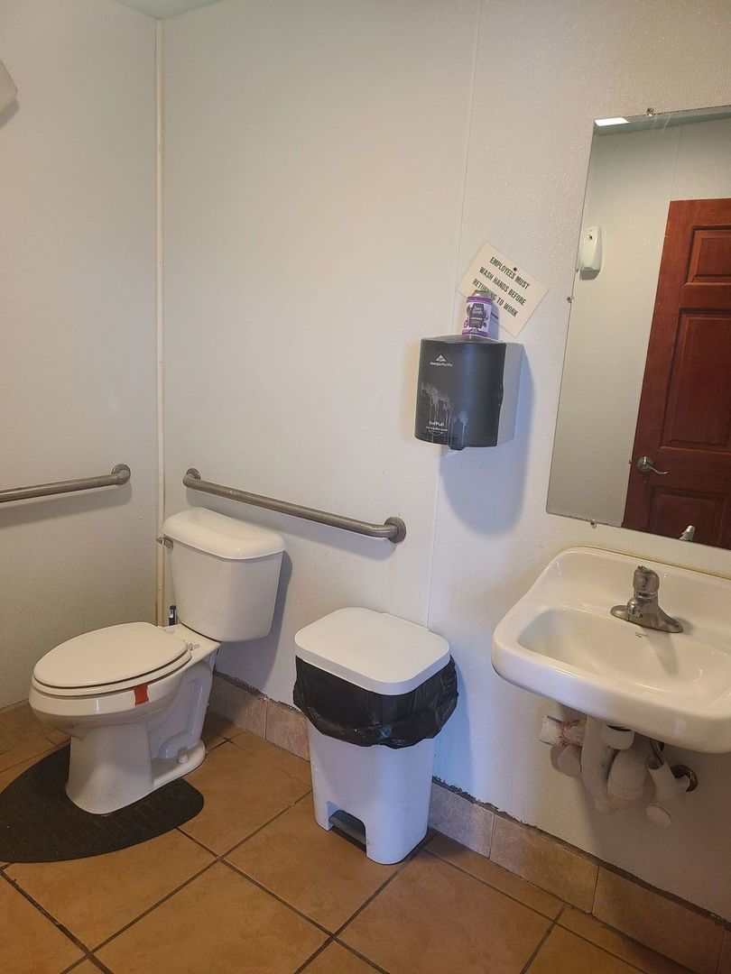 1310 North 7th Street Rochelle, IL 61068 - Photo 6 of 18 a bathroom with a sink toilet and a mirror
