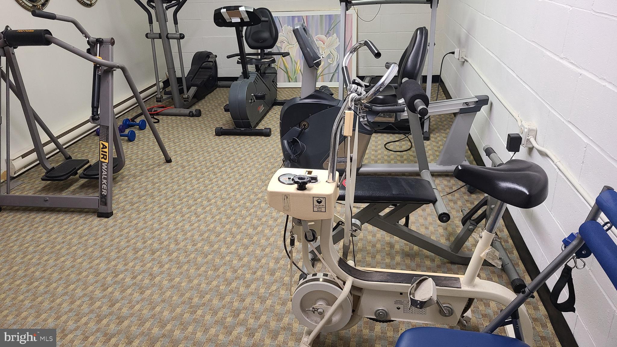303 Brandon Road Eagleville, PA 19403 - Photo 8 of 30 Bldg 3 fitness area