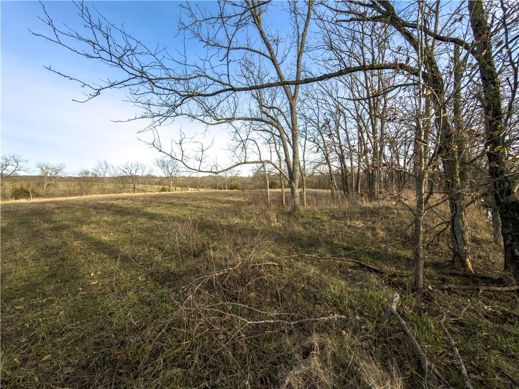 Georgeville Road Cowgill, MO 64637 - Photo 12 of 56