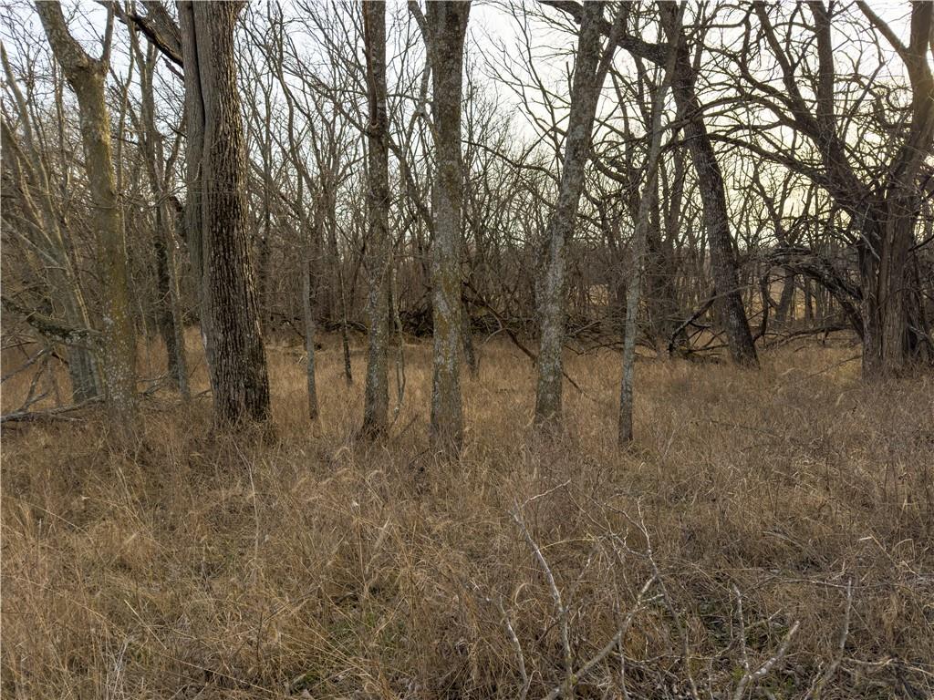 Georgeville Road Cowgill, MO 64637 - Photo 13 of 56