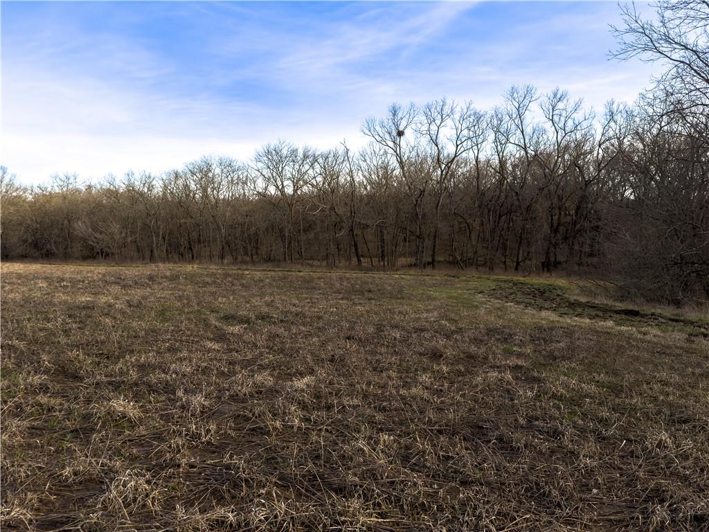 Georgeville Road Cowgill, MO 64637 - Photo 14 of 56