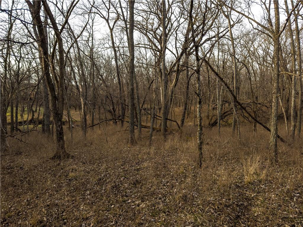 Georgeville Road Cowgill, MO 64637 - Photo 19 of 56