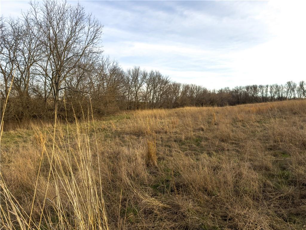 Georgeville Road Cowgill, MO 64637 - Photo 23 of 56