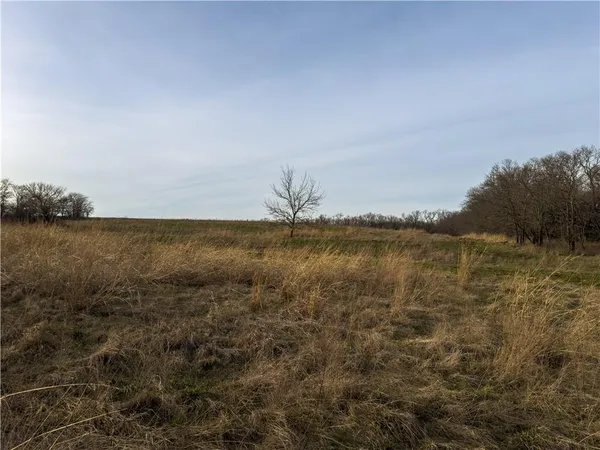 $1,683,000 | Georgeville Road, Cowgill, MO 64637