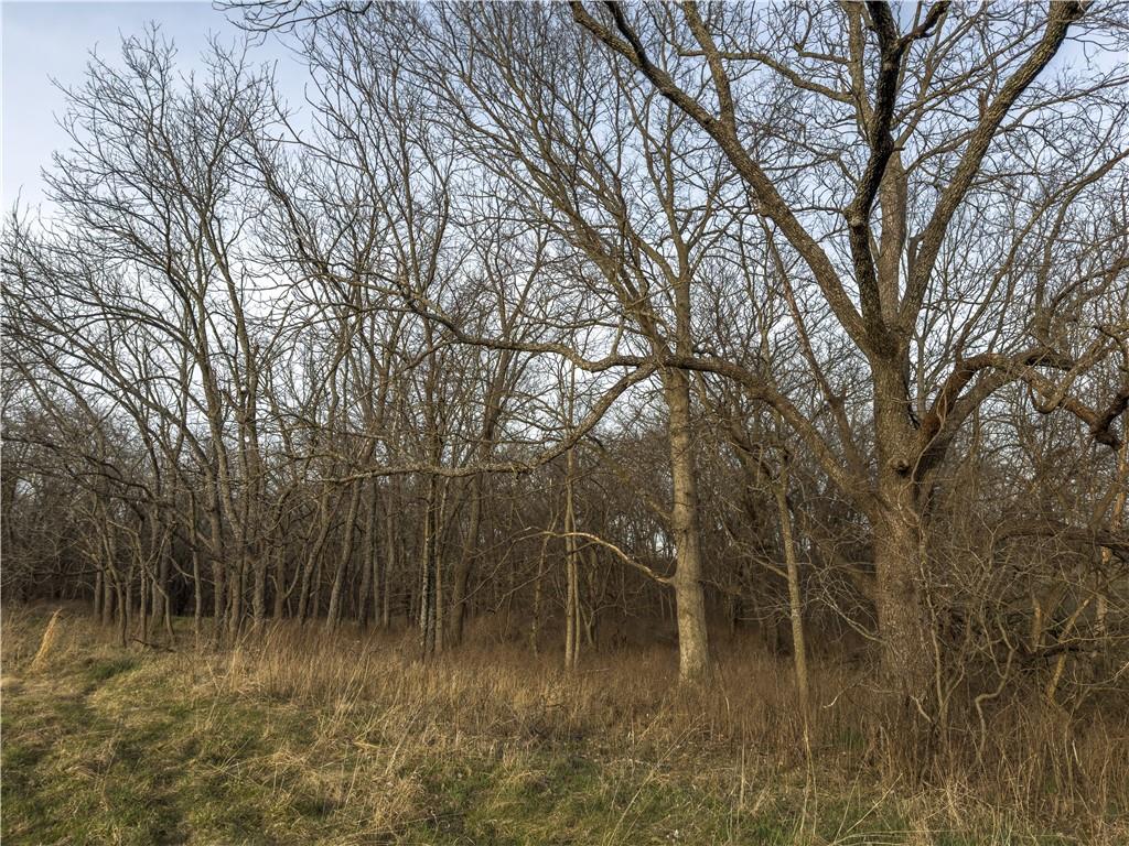 Georgeville Road Cowgill, MO 64637 - Photo 25 of 56