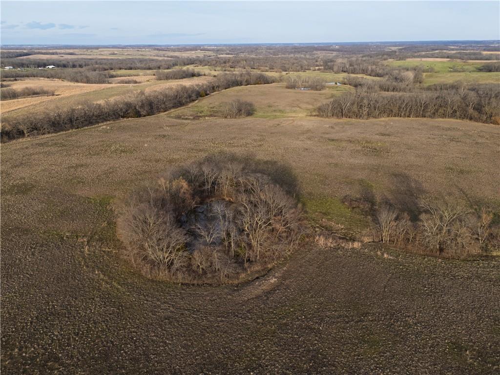 Georgeville Road Cowgill, MO 64637 - Photo 29 of 56