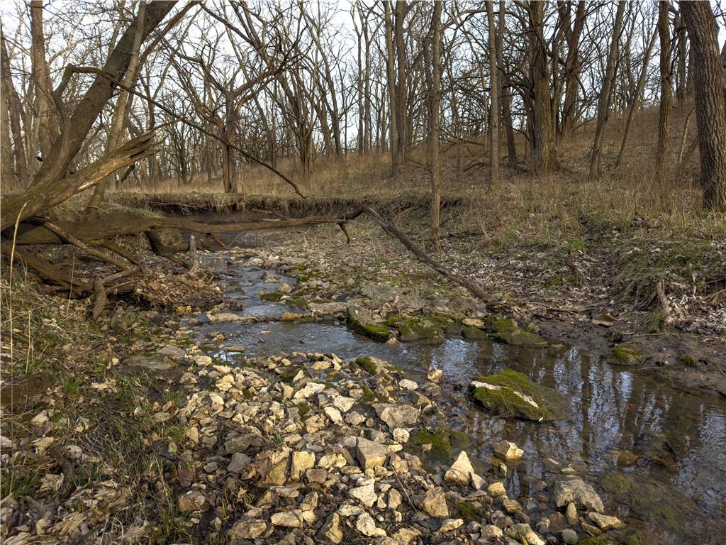 Georgeville Road Cowgill, MO 64637 - Photo 3 of 56