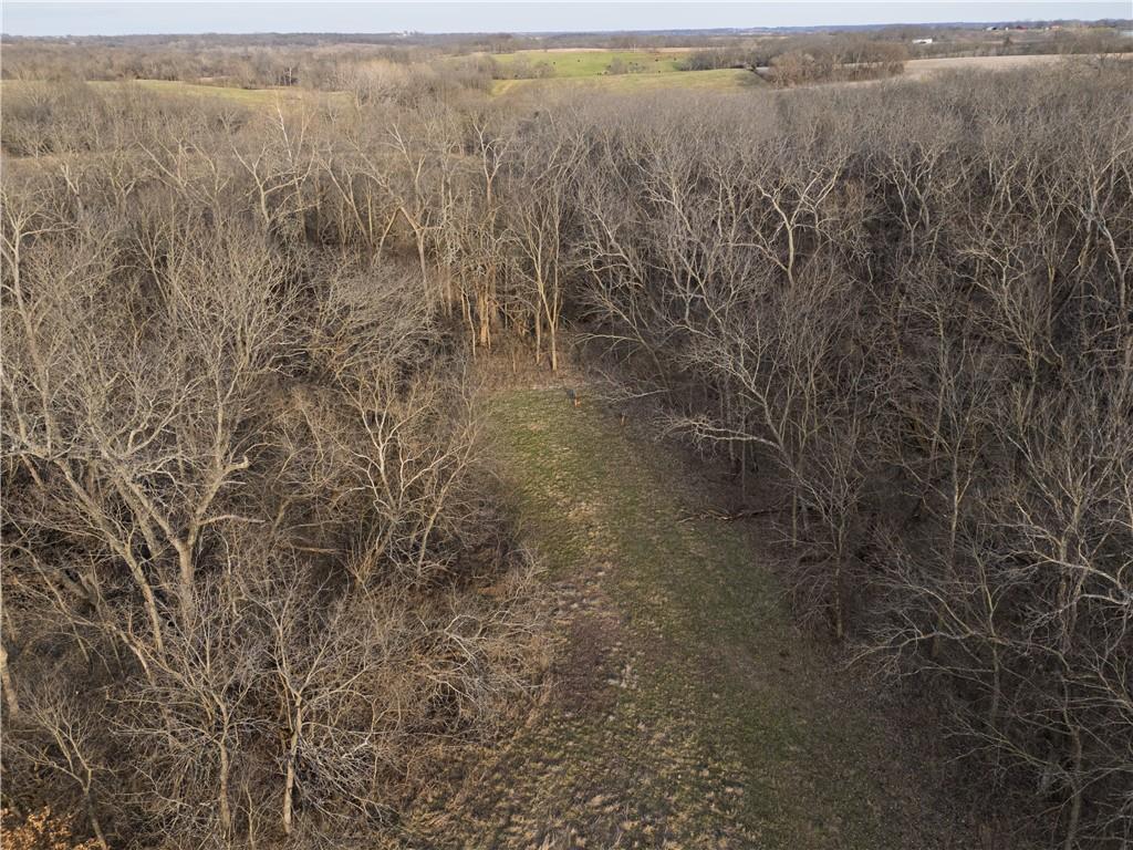 Georgeville Road Cowgill, MO 64637 - Photo 31 of 56