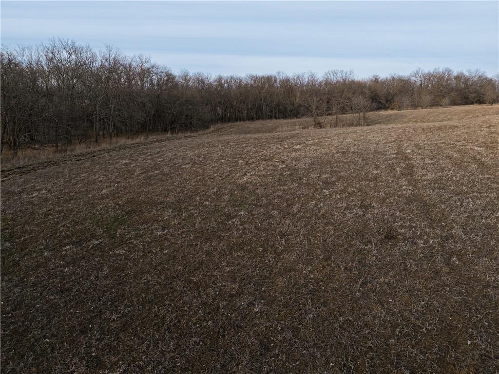 Georgeville Road Cowgill, MO 64637 - Photo 38 of 56