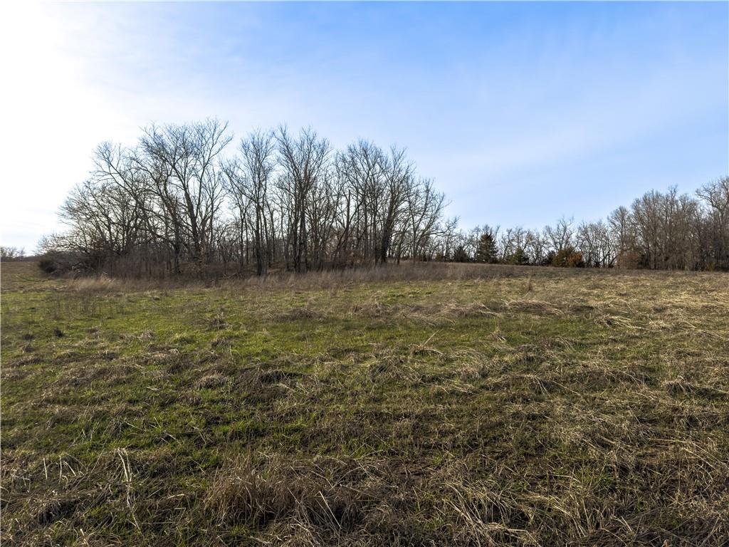 Georgeville Road Cowgill, MO 64637 - Photo 7 of 56