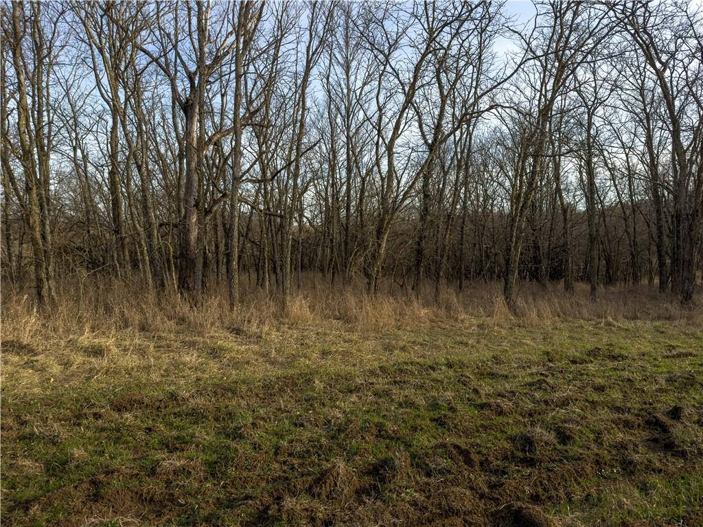 Georgeville Road Cowgill, MO 64637 - Photo 8 of 56