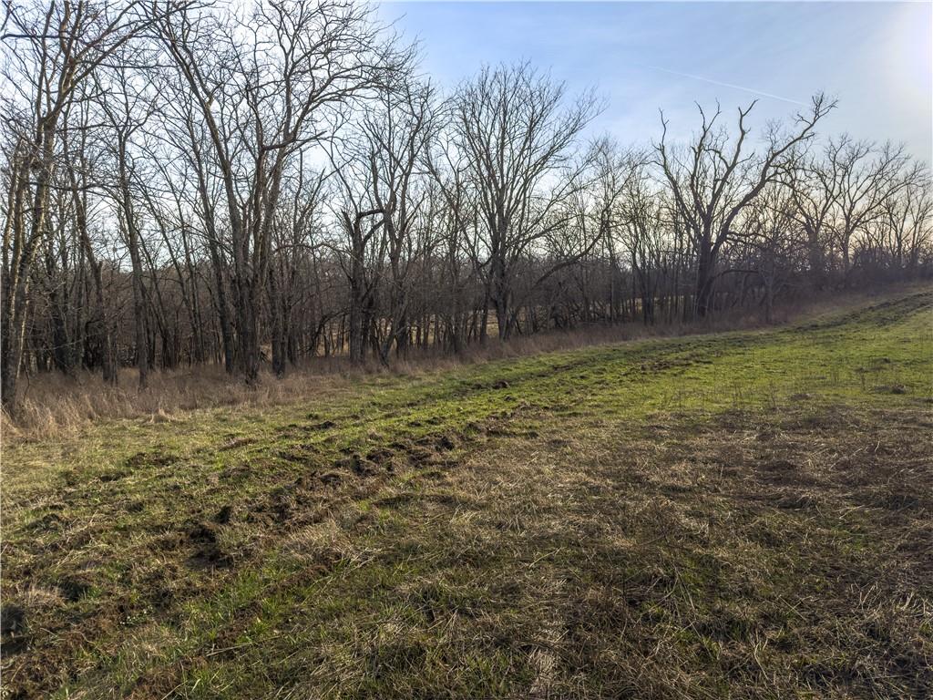 Georgeville Road Cowgill, MO 64637 - Photo 9 of 56