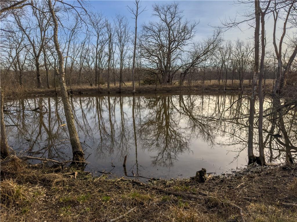 Georgeville Road Cowgill, MO 64637 - Photo 10 of 56