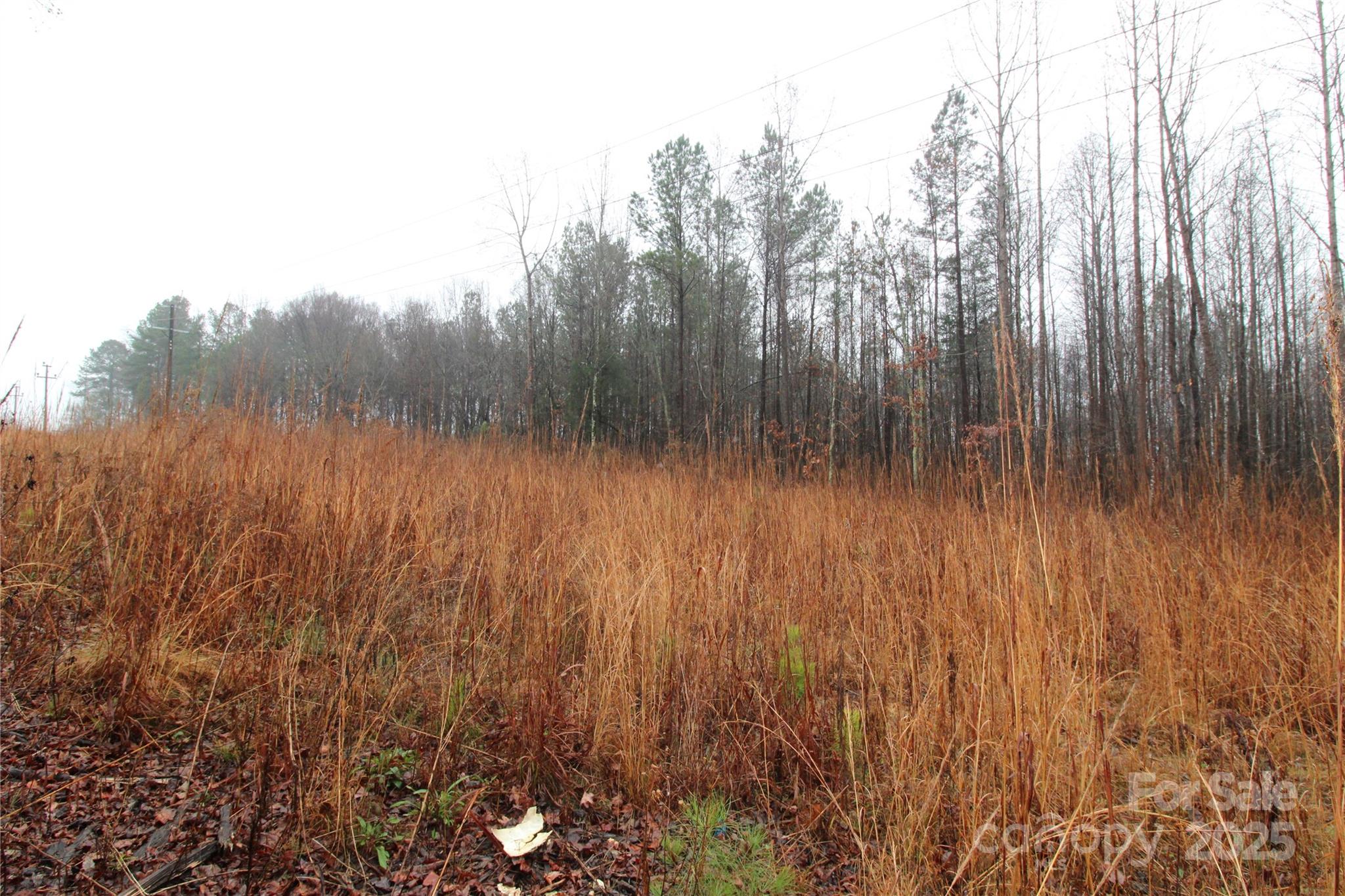 4.58-ac Eaker Road, Unit LOT 4 Bessemer City, NC 28016 - Photo 3 of 6