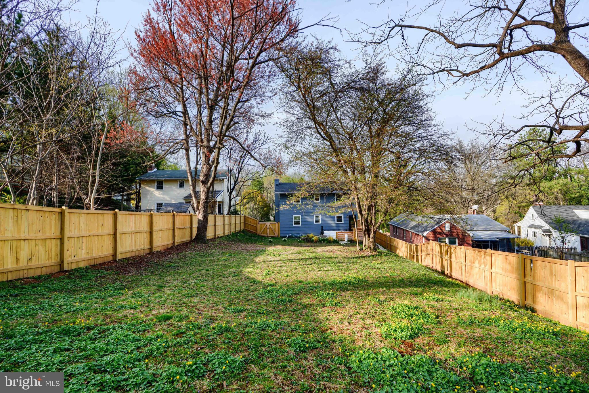 1103 Litchfield Road, Unit H Baltimore, MD 21239 - Photo 13 of 74 a view of a backyard with large trees