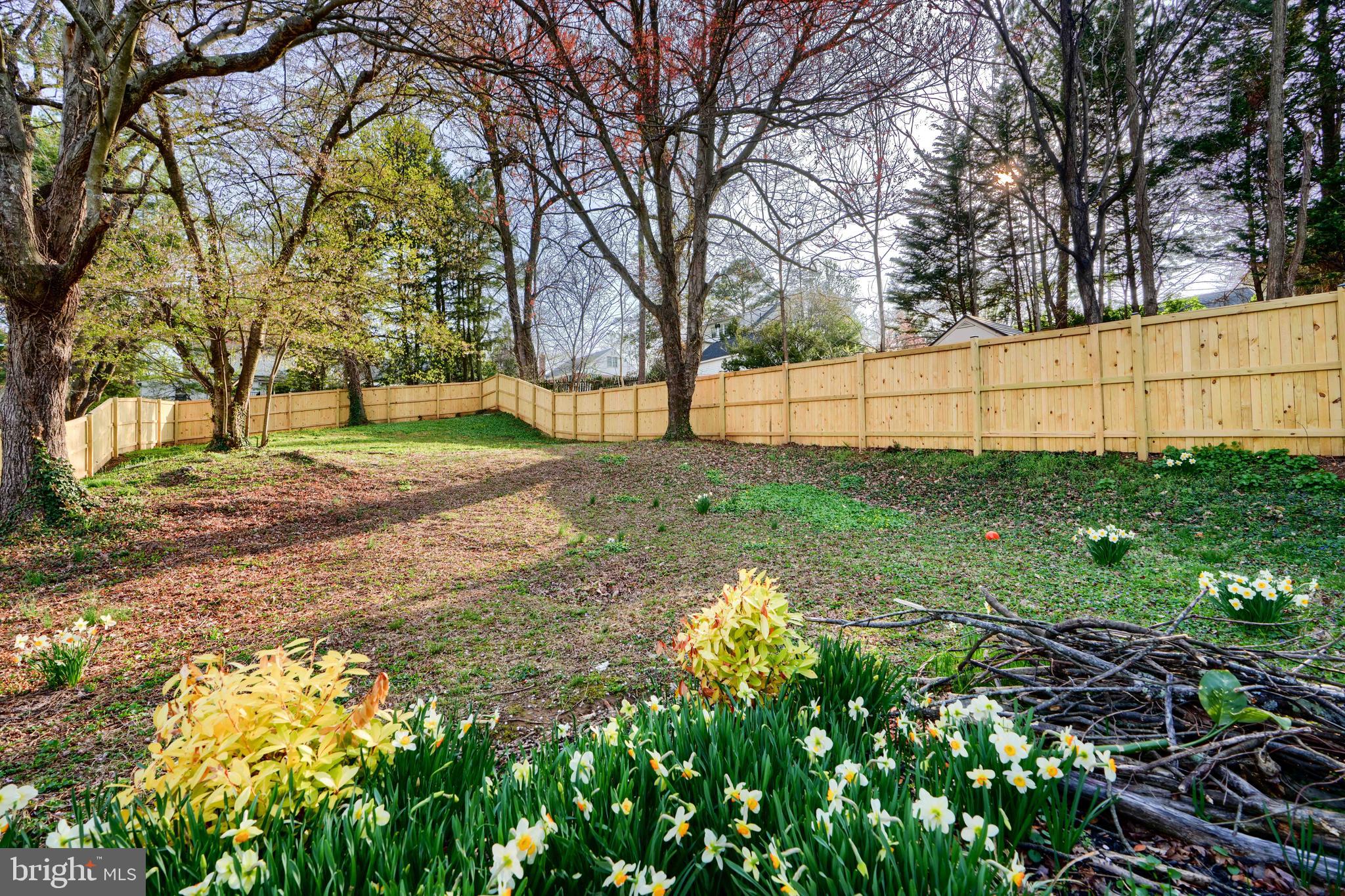 1103 Litchfield Road, Unit H Baltimore, MD 21239 - Photo 15 of 74 a view of a yard with plants and trees
