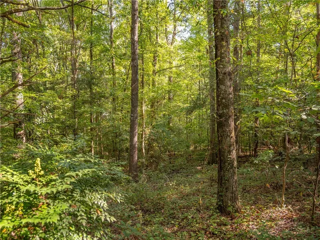 $169,000 | 3 Gibson Road, Anderson, SC 29625