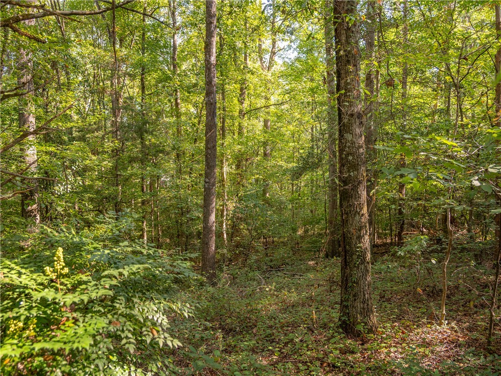 3 Gibson Road Anderson, SC 29625 - Photo 11 of 15