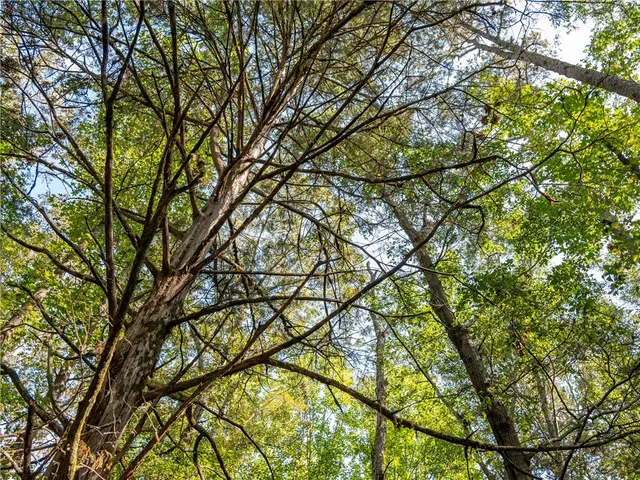 $169,000 | 3 Gibson Road, Anderson, SC 29625