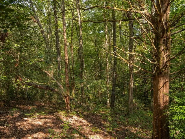 $169,000 | 3 Gibson Road, Anderson, SC 29625