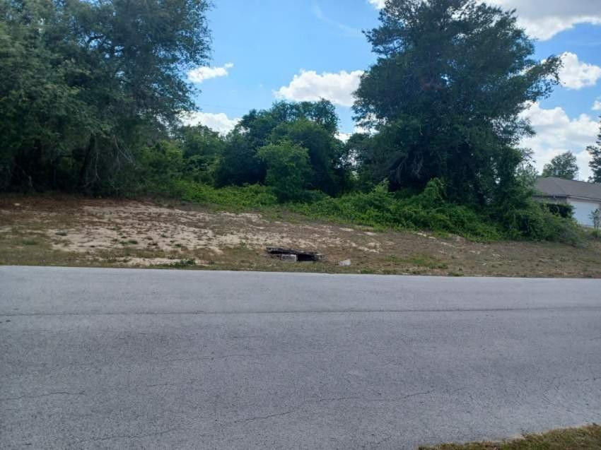 Lot 28 29 Av Road Ocala, FL 34473 - Photo 1 of 3 Photo 1