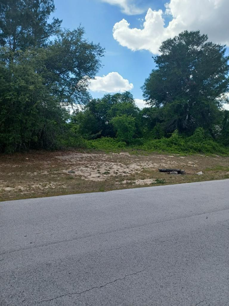 Lot 28 29 Av Road Ocala, FL 34473 - Photo 2 of 3 Photo 2