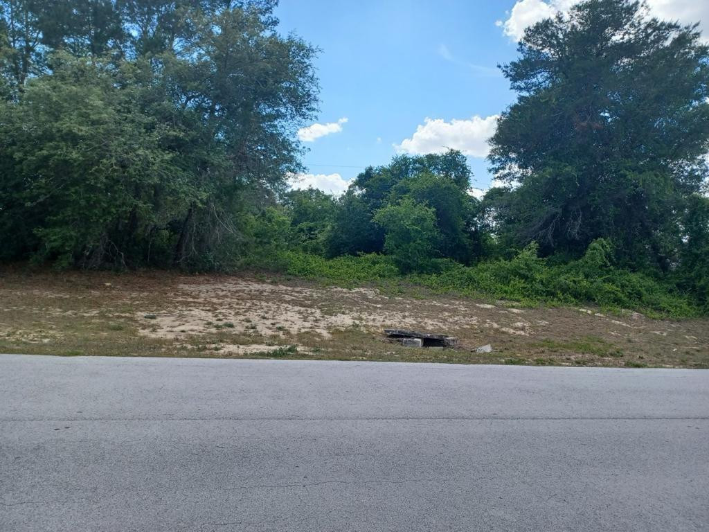 Lot 28 29 Av Road Ocala, FL 34473 - Photo 3 of 3 Photo 3