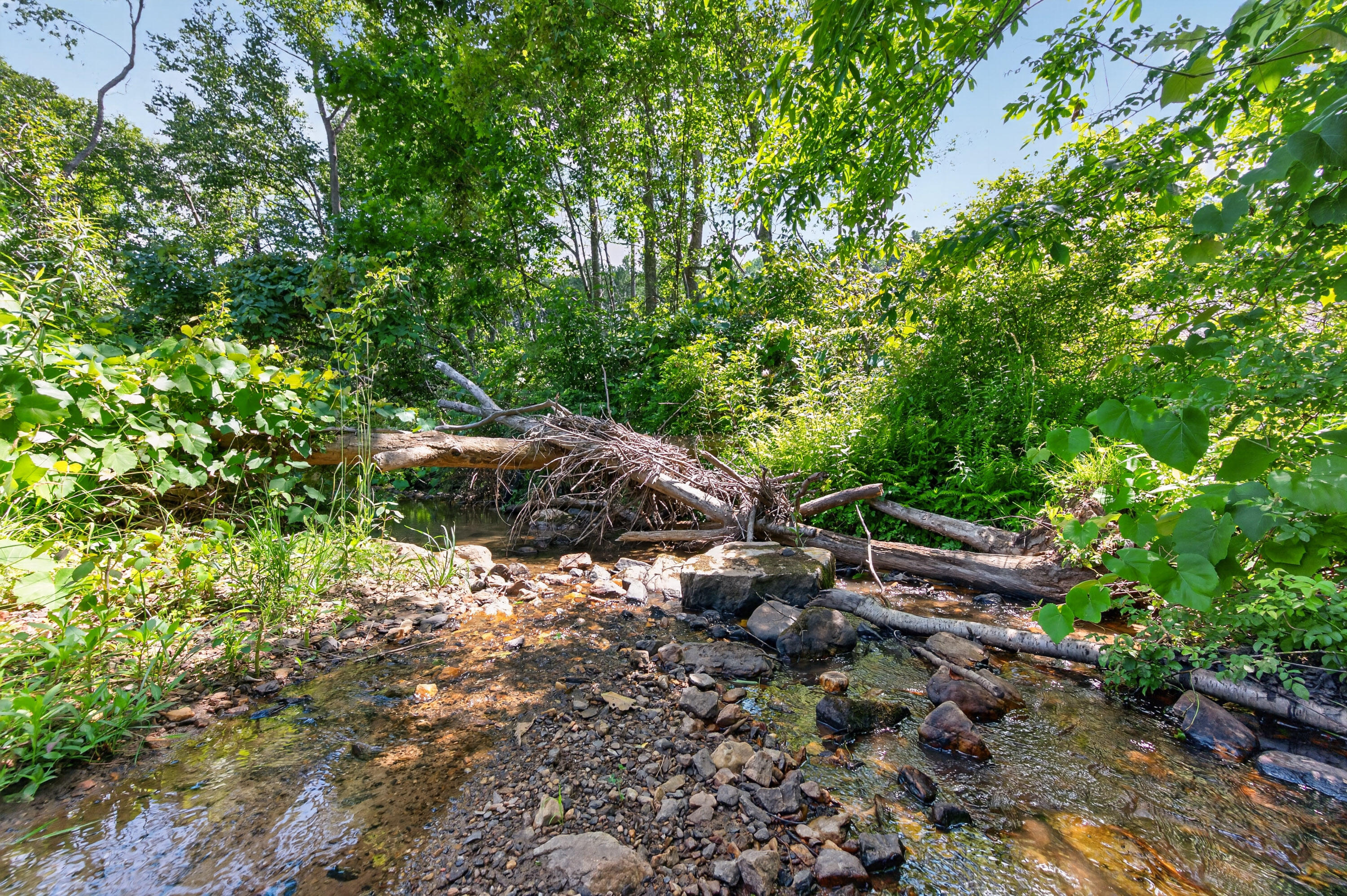 6196 Chances Creek Road Fancy Gap, VA 24328 - Photo 57 of 78 58