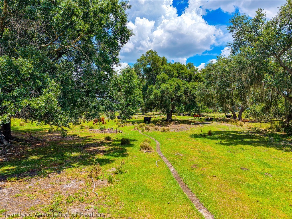 3030 North Nursery Road Zolfo Springs, FL 33890 - Photo 30 of 32