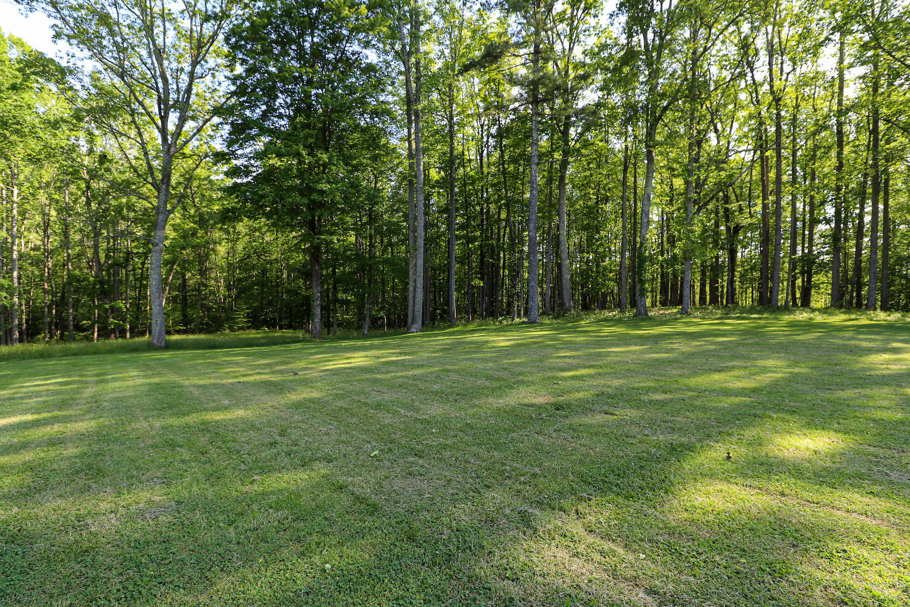 296 Kyle Weeks Road Southwest Willis, VA 24380 - Photo 27 of 35 a backyard of a house with lots of green space