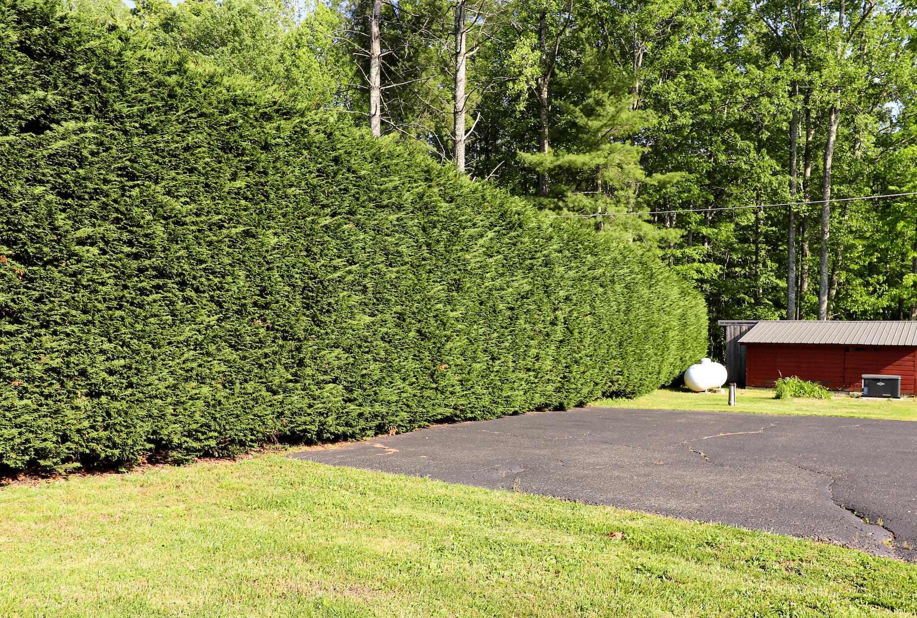 296 Kyle Weeks Road Southwest Willis, VA 24380 - Photo 29 of 35 a view of a yard with an outdoor space