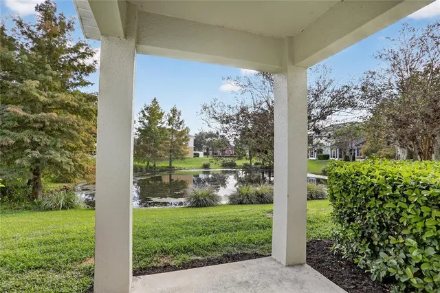 a view of a yard with plants and a pathway