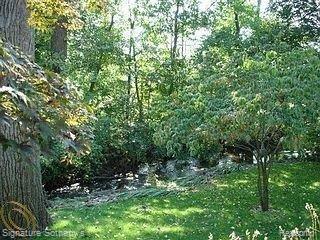 195 North Baldwin Road Birmingham, MI 48009 - Photo 15 of 19 Rouge River