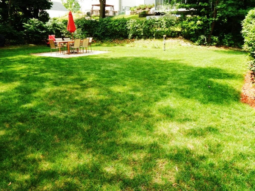 135 Rochelle Avenue Manchester, NH 03102 - Photo 26 of 34 Gallery Image 26