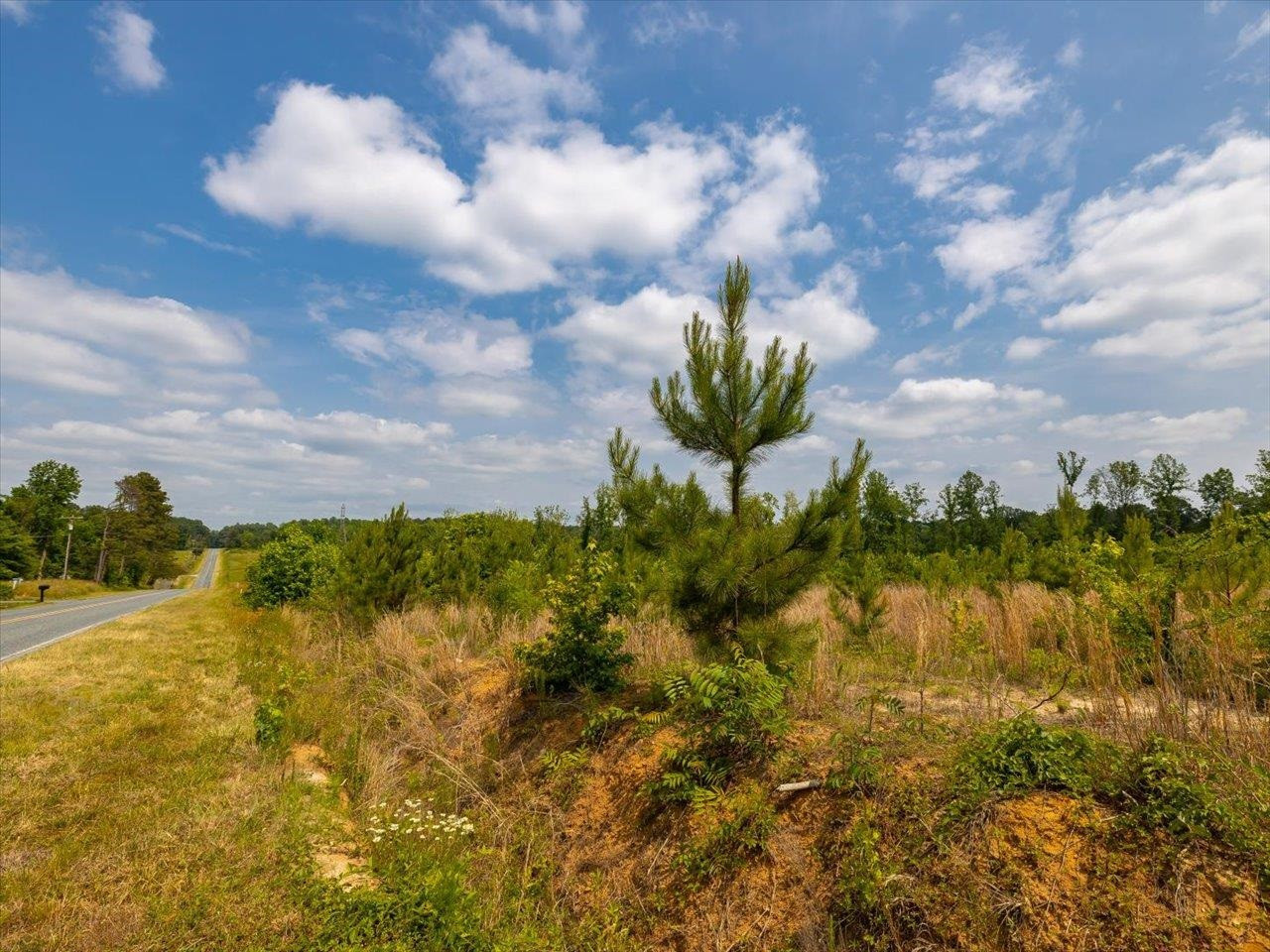 1000 Nesbit Road Pleasant Garden, NC 27313 - Photo 22 of 27 Photo 22