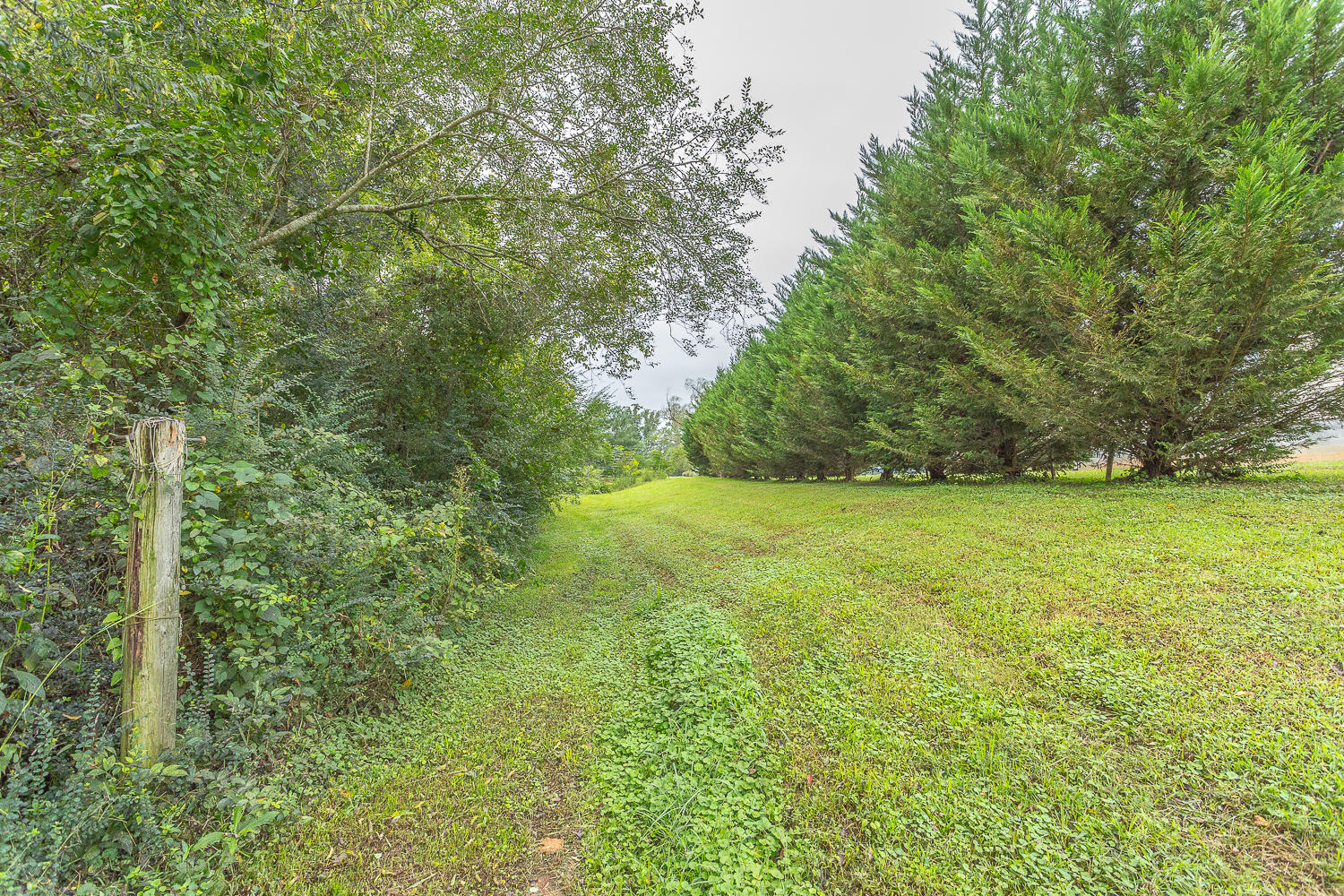 4235 Garretts Chapel Road Chickamauga, GA 30707 - Photo 56 of 62 4235 Garrets Chapel-12