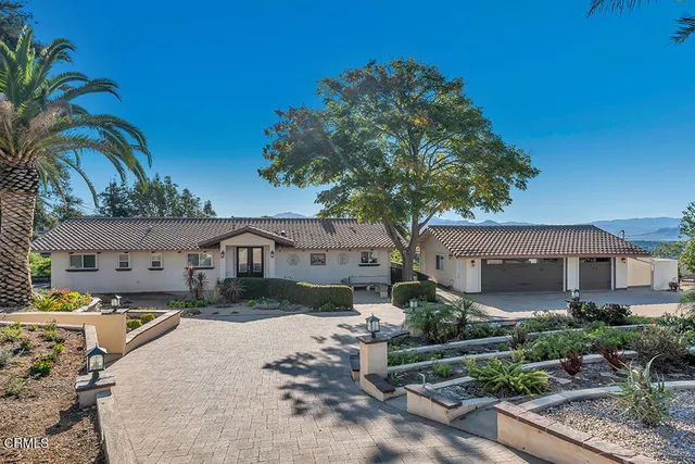 a view of a street with plants and trees