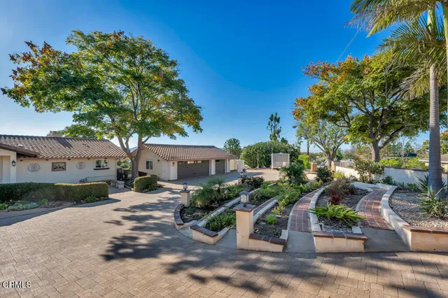 a view of a patio with chairs and plants