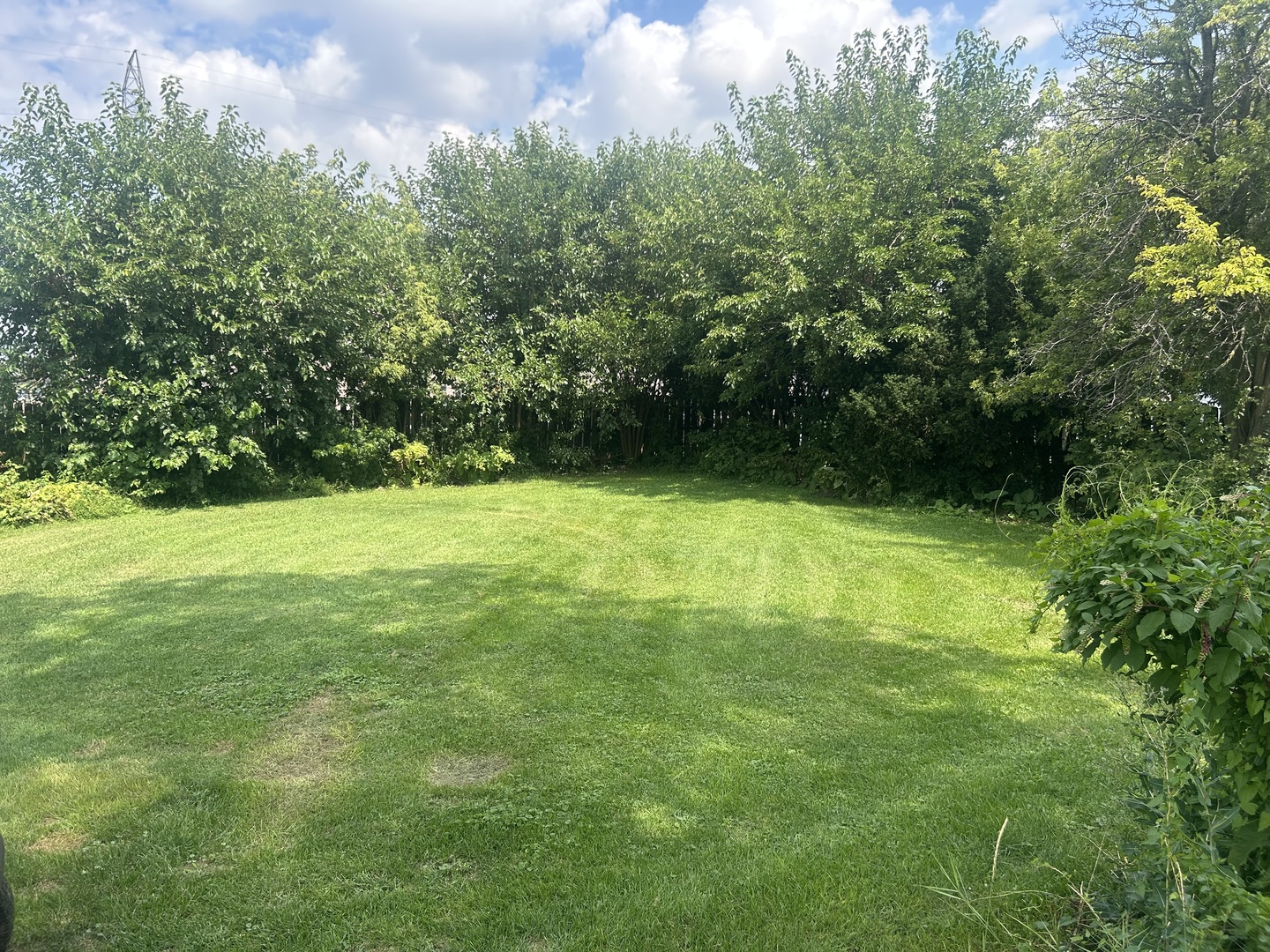 7121 South Oketo Avenue Bridgeview, IL 60455 - Photo 8 of 8 a view of an trees in a yard