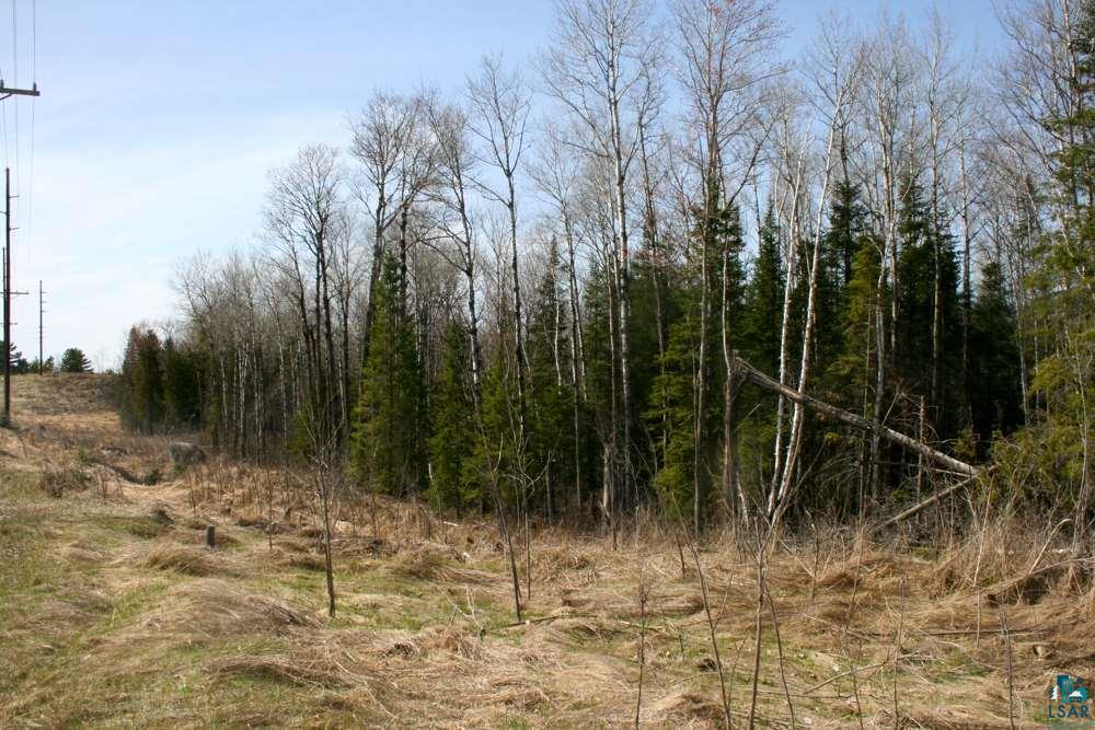 Tbd Olson Road Cook, MN 55723 - Photo 8 of 10 Gallery Image 8