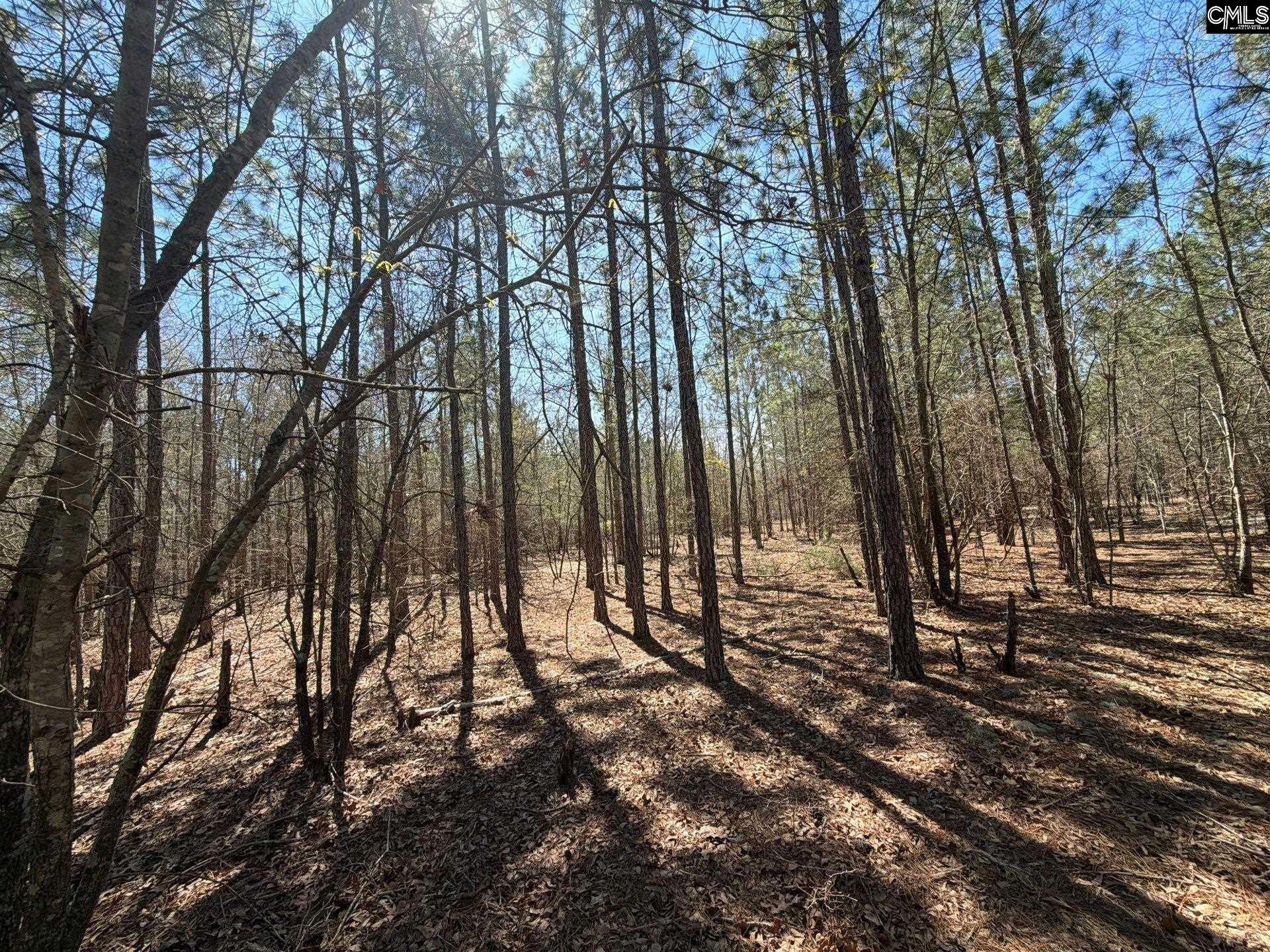 11 Boise Cascade Road, Unit BHL 11 Bethune, SC 29009 - Photo 22 of 24