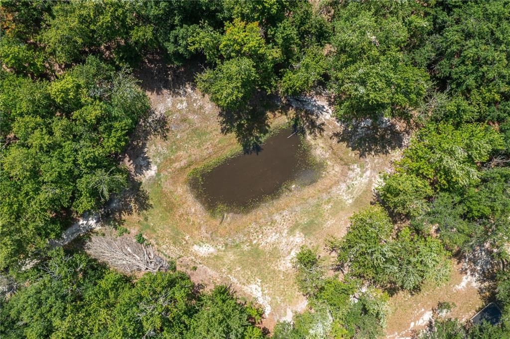 15079 Brahma Road Polk City, FL 33868 - Photo 35 of 40 a view of a yard