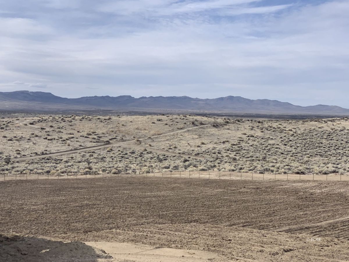 6675 Tyler Avenue Elko, NV 89801 - Photo 11 of 17