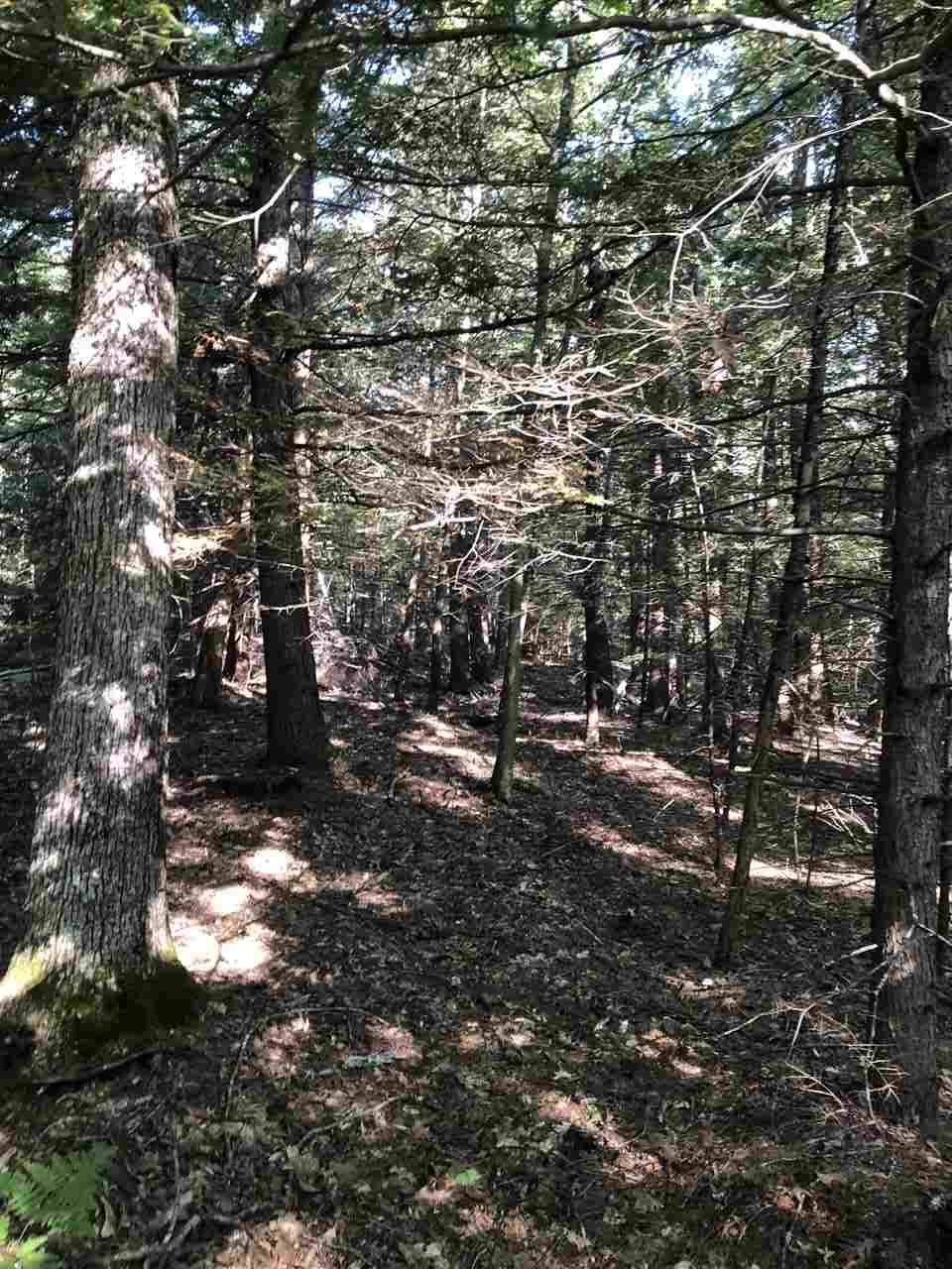 364 Stage Road Nottingham, NH 03290 - Photo 11 of 27