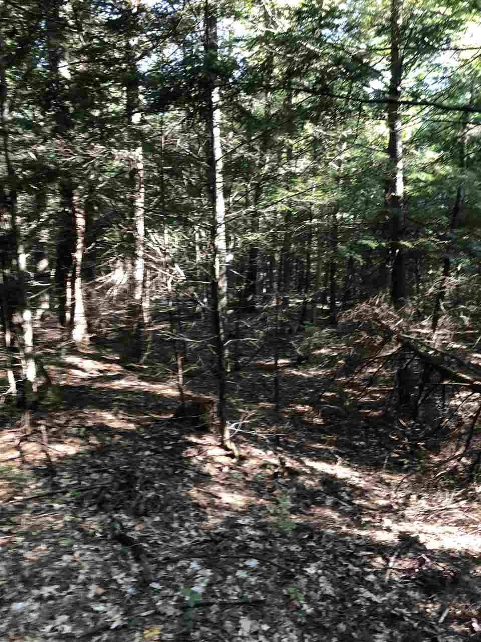 364 Stage Road Nottingham, NH 03290 - Photo 13 of 27